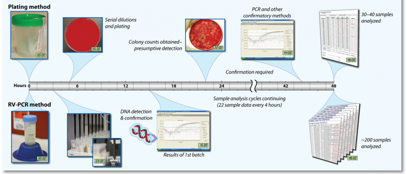 Rapid Viability - Polymerase Chain Reaction (RV-PCR)